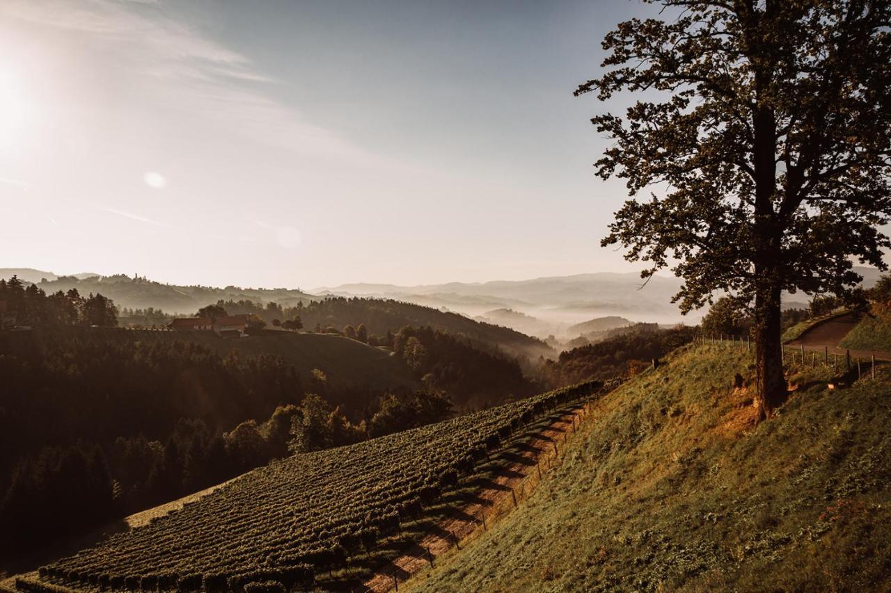 Weingut Kollerhof Am Eichberg Villa Leutschach Eksteriør billede